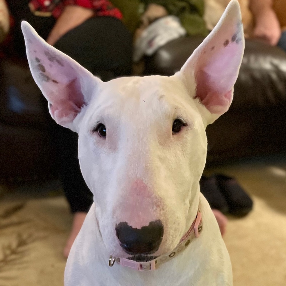 Meet your Posher, Alison